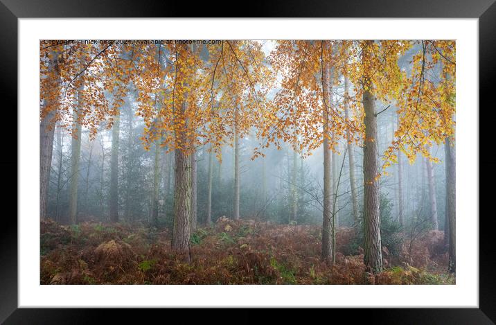 Misty Autumn Trees in Lee Lane Framed Mounted Print by nick hirst
