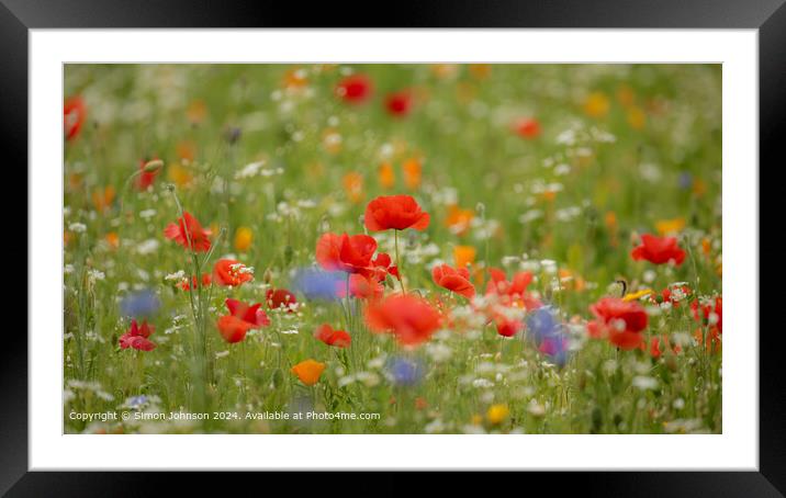 Cotsowlds Poppy Meadow Landscape Framed Mounted Print by Simon Johnson