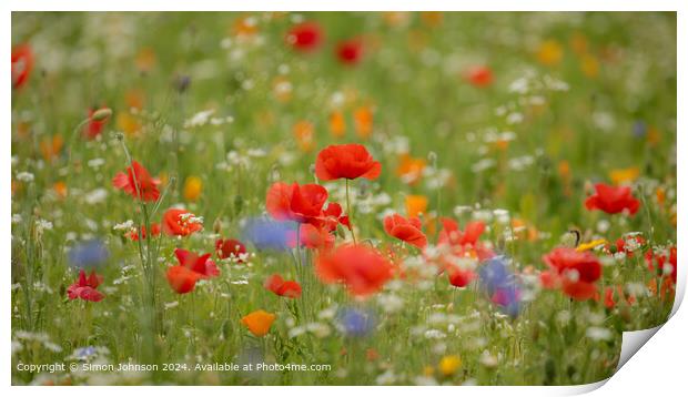 Cotsowlds Poppy Meadow Landscape Print by Simon Johnson