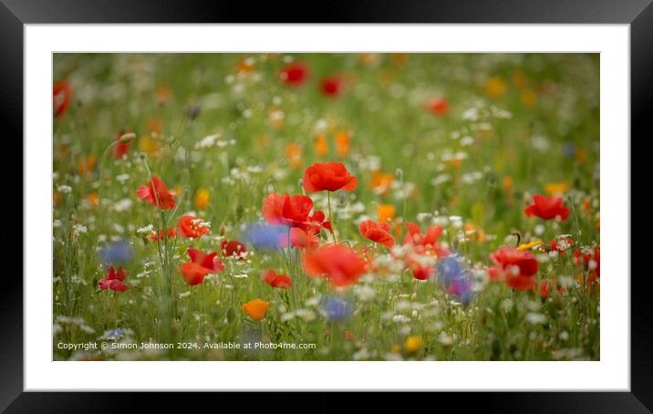 Poppy Meadow Flowers Gloucestershire Framed Mounted Print by Simon Johnson