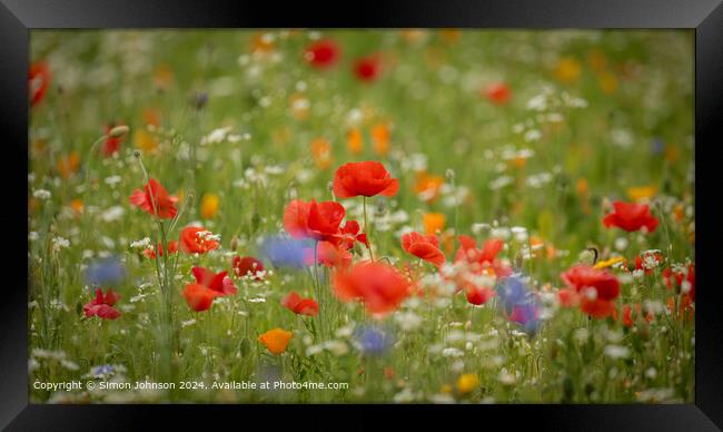 Poppy Meadow Flowers Gloucestershire Framed Print by Simon Johnson