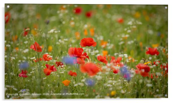 Poppy Meadow Flowers Gloucestershire Acrylic by Simon Johnson