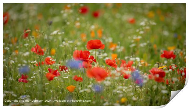 Poppy Meadow Flowers Gloucestershire Print by Simon Johnson