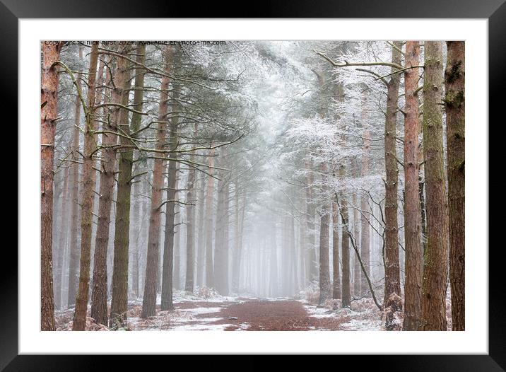 Bingley Winter Woods Path Framed Mounted Print by nick hirst
