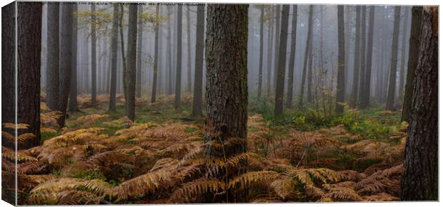 Tranquil Autumn Woodland Canvas Print by nick hirst