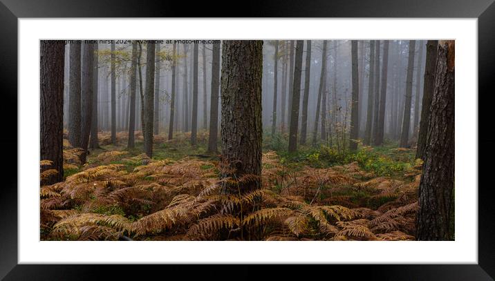 Tranquil Autumn Woodland Framed Mounted Print by nick hirst