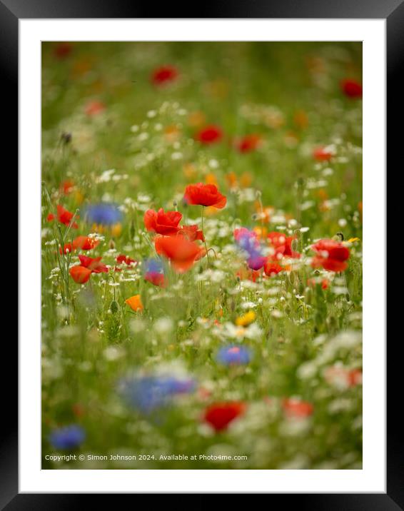 Vibrant Poppy Meadow in Cotswolds Framed Mounted Print by Simon Johnson