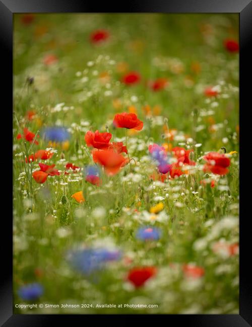 Vibrant Poppy Meadow in Cotswolds Framed Print by Simon Johnson
