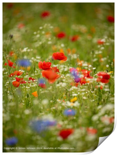 Vibrant Poppy Meadow in Cotswolds Print by Simon Johnson