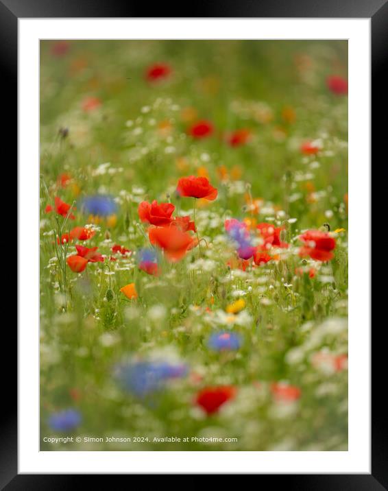 Rolling Hills and Meadow Flowers in the Cotswolds: Tranquil, Serene, Enchanting Framed Mounted Print by Simon Johnson