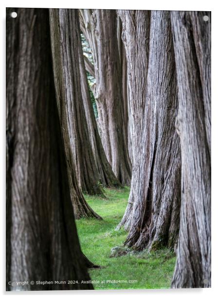 Tree lane walk Acrylic by Stephen Munn