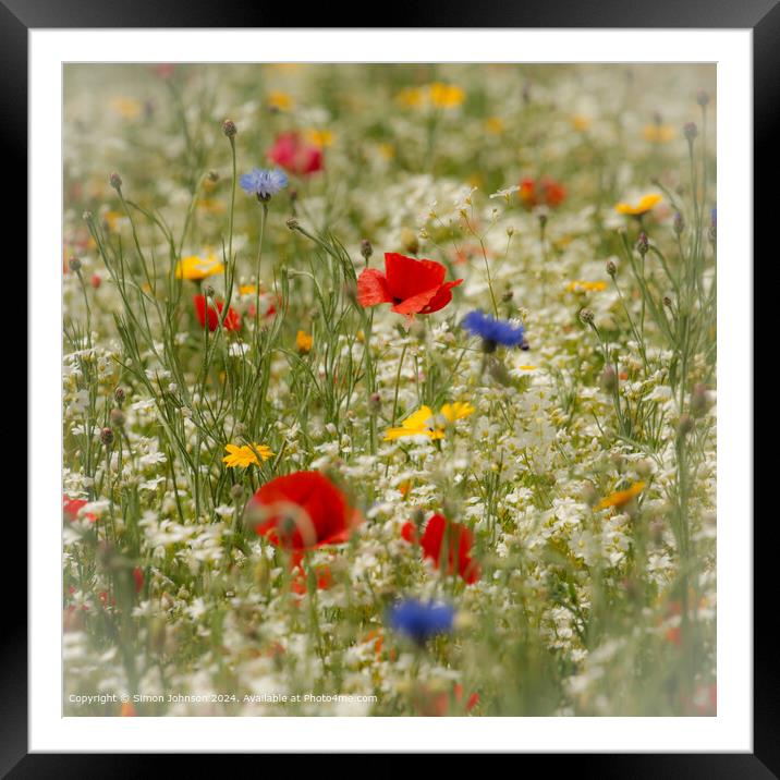 Poppy Meadow Landscape, Cotswolds Framed Mounted Print by Simon Johnson