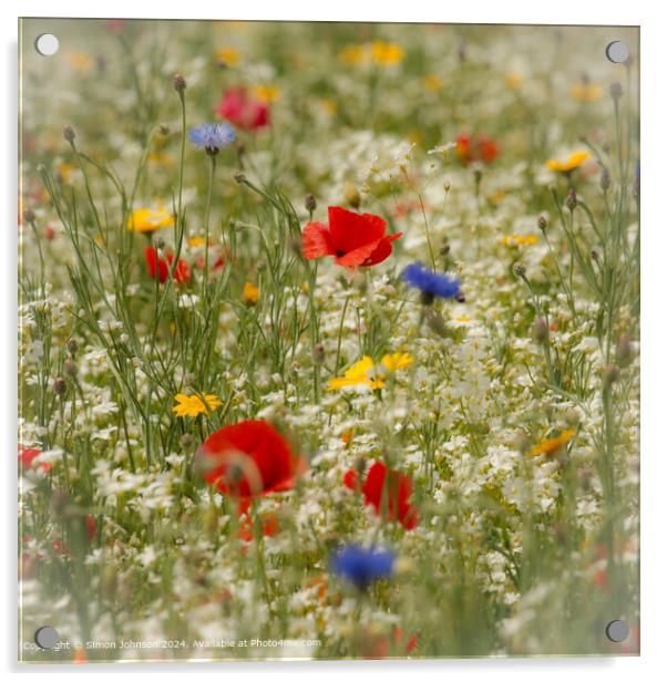 Poppy Meadow Landscape, Cotswolds Acrylic by Simon Johnson