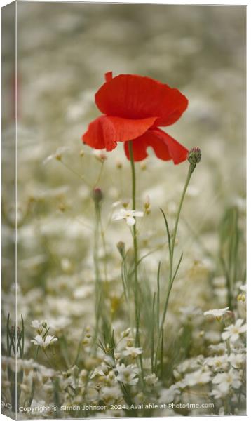 Poppy Meadow Flowers, Cotswolds, Gloucestershire Canvas Print by Simon Johnson