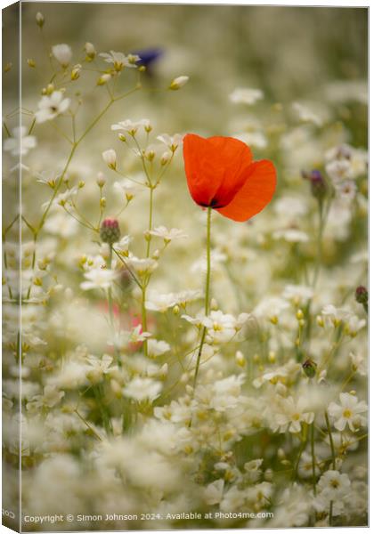 Poppy Meadow Cotsowlds: Colourful Nature Canvas Print by Simon Johnson