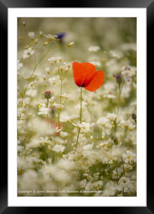 Poppy Meadow Cotsowlds: Colourful Nature Framed Mounted Print by Simon Johnson