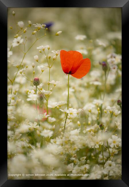 Poppy Meadow Cotsowlds: Colourful Nature Framed Print by Simon Johnson