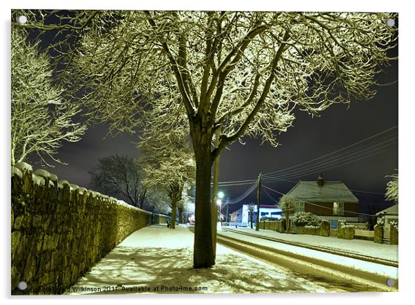 Snow Tree Acrylic by Dave Wilkinson North Devon Ph