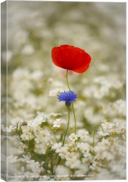 Poppy and corn flower  Cotswolds, Gloucestershire Canvas Print by Simon Johnson