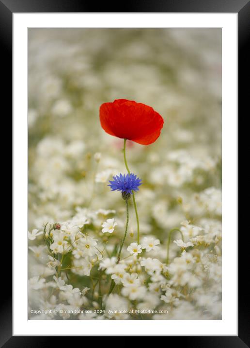 Poppy and corn flower  Cotswolds, Gloucestershire Framed Mounted Print by Simon Johnson