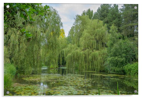 Weeping Willow Lake Tranquility Acrylic by Rob Lucas
