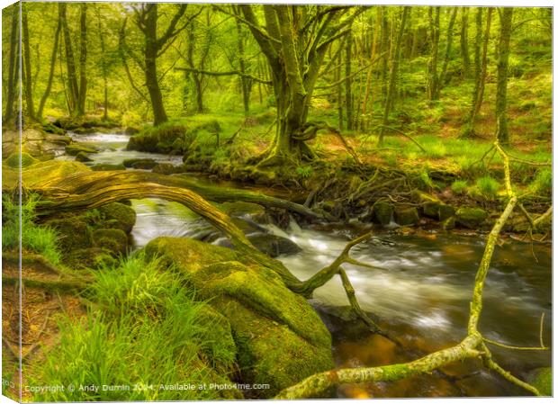 River Fowey Cascade Landscape Canvas Print by Andy Durnin