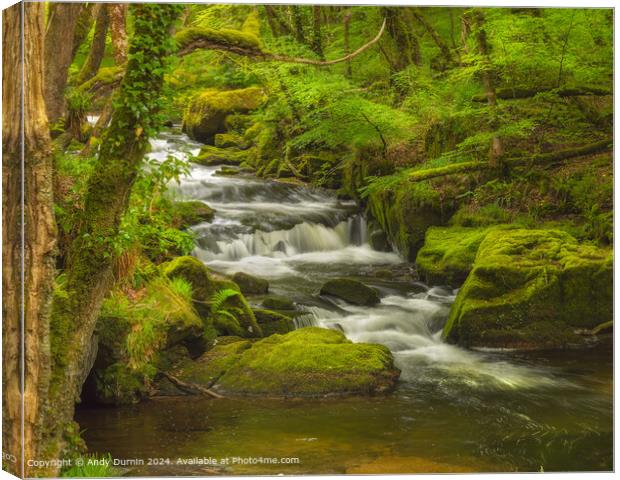 Golitha Falls River Landscape Canvas Print by Andy Durnin