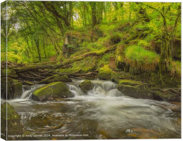 Golitha Falls River Landscape Canvas Print by Andy Durnin