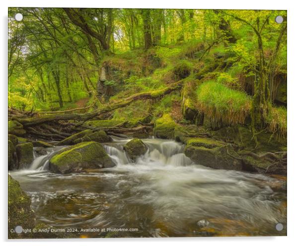 Golitha Falls River Landscape Acrylic by Andy Durnin
