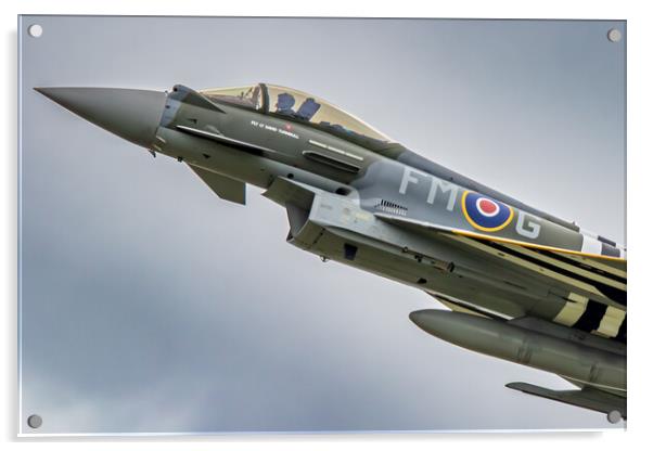 RAF Eurofighter Typhoon Moggy Acrylic by J Biggadike