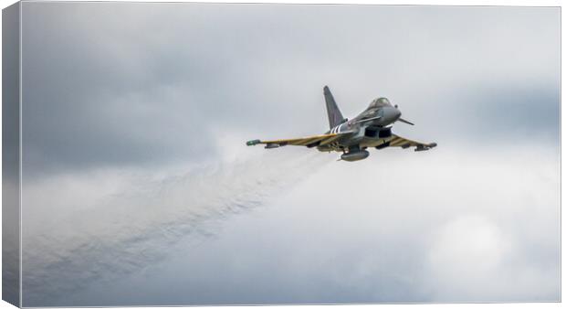 RAF Eurofighter Typhoon Moggy Canvas Print by J Biggadike