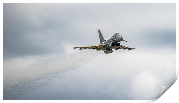RAF Eurofighter Typhoon Moggy Print by J Biggadike