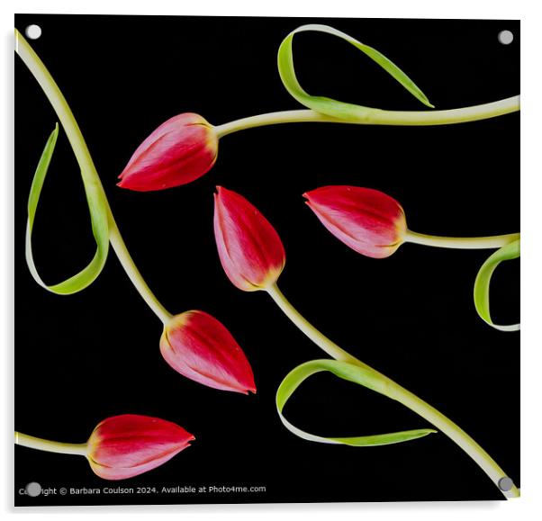 Vibrant Pink Tulips in Abstract Pattern Acrylic by Barbara Coulson