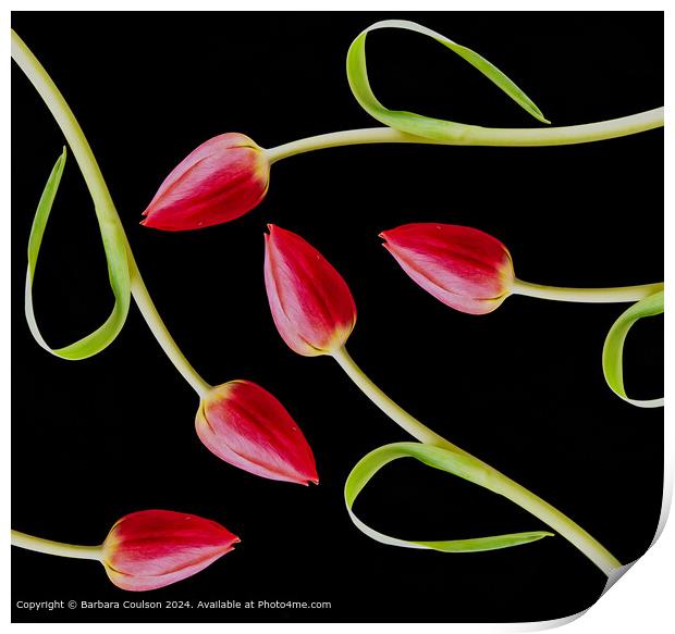 Vibrant Pink Tulips in Abstract Pattern Print by Barbara Coulson