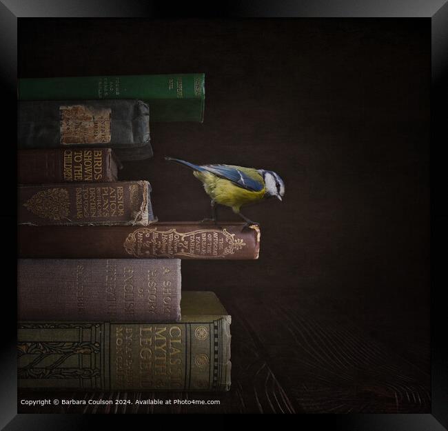 Blue Tit and Old Books Framed Print by Barbara Coulson