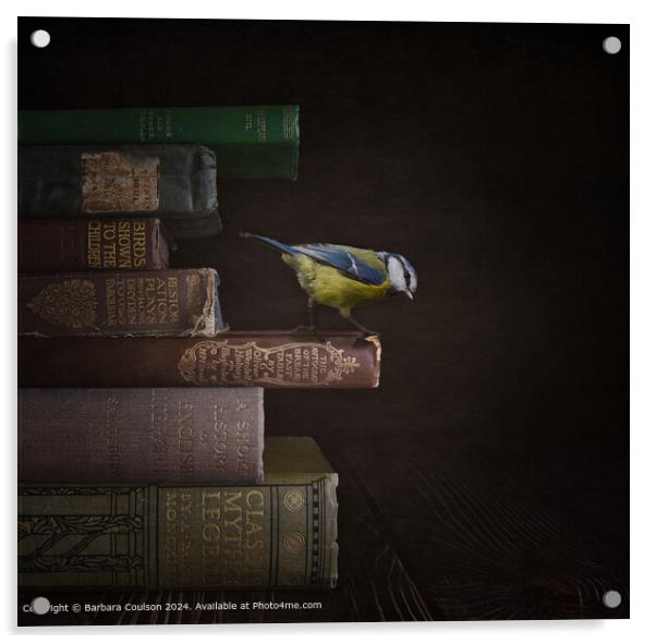Blue Tit and Old Books Acrylic by Barbara Coulson