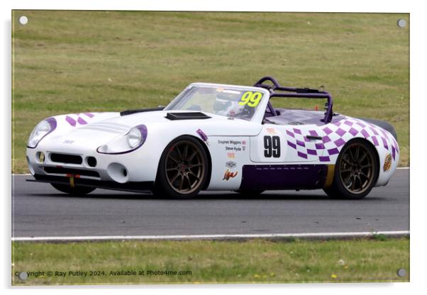 White TVR Racing Circuit Acrylic by Ray Putley
