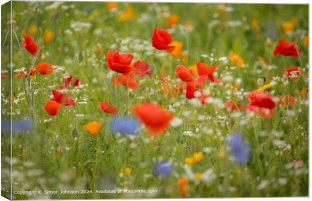Cotswolds Poppies Wildflower Landscape Canvas Print by Simon Johnson