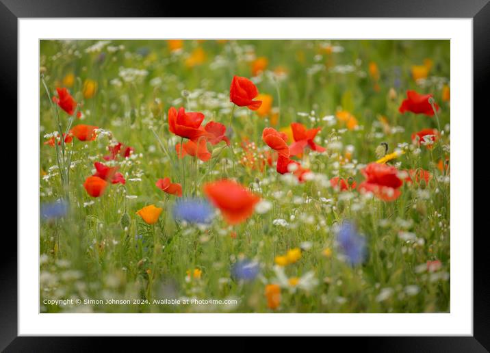 Cotswolds Poppies Wildflower Landscape Framed Mounted Print by Simon Johnson