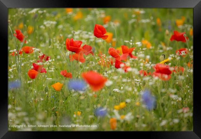 Cotswolds Poppies Wildflower Landscape Framed Print by Simon Johnson