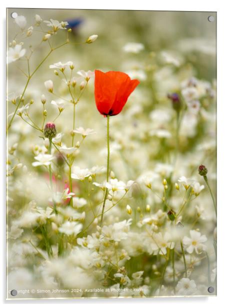 Poppy Meadow Landscape in Cotswolds Acrylic by Simon Johnson