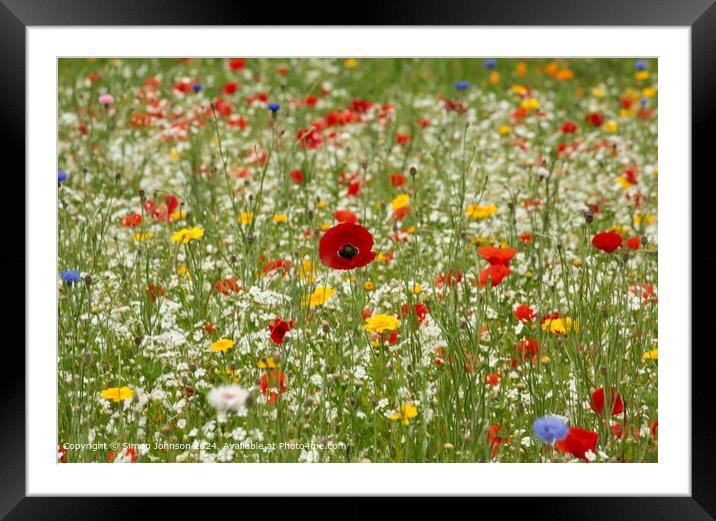 Cotswolds Meadow Flowers Framed Mounted Print by Simon Johnson