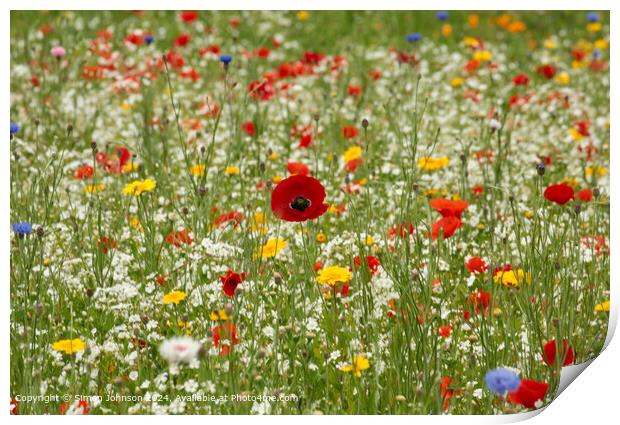 Cotswolds Meadow Flowers Print by Simon Johnson