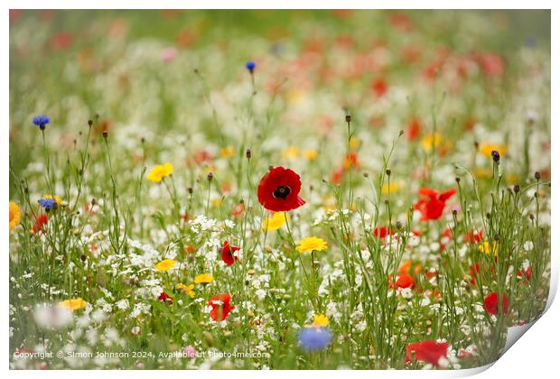 Cotswolds Poppy Meadow Landscape Print by Simon Johnson