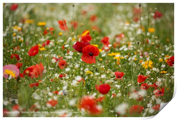 Poppy Meadow Landscape Cotswolds Print by Simon Johnson