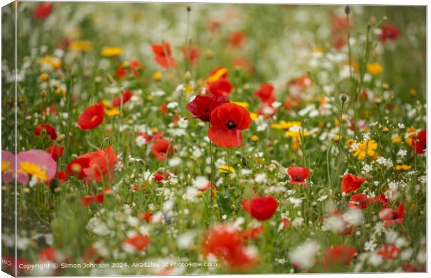 Vibrant Poppy Meadow Cotswolds Canvas Print by Simon Johnson