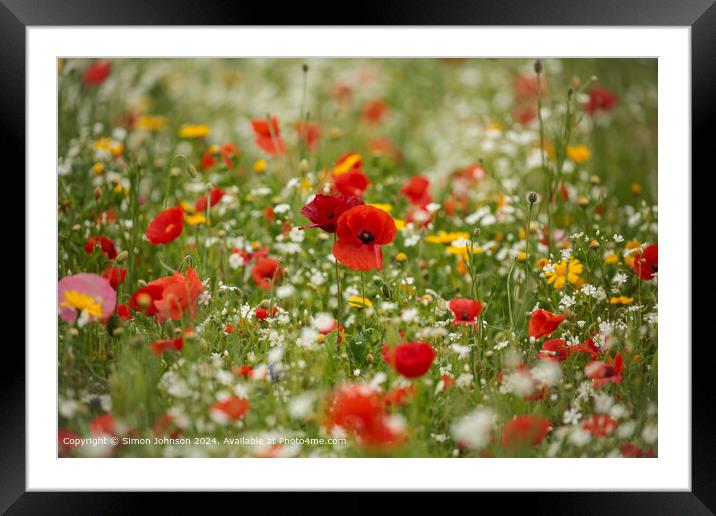 Vibrant Poppy Meadow Cotswolds Framed Mounted Print by Simon Johnson