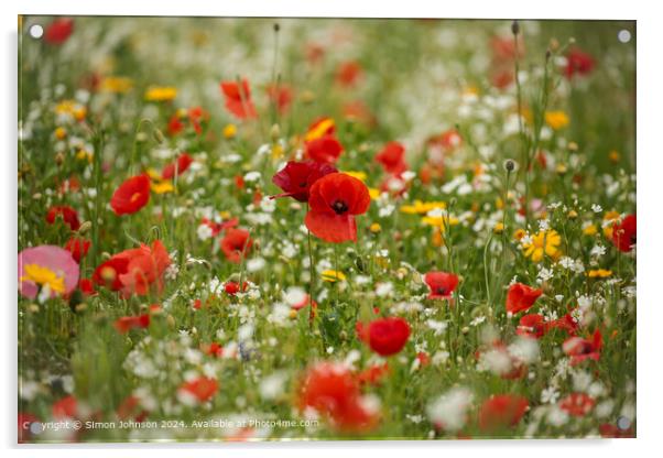 Vibrant Poppy Meadow Cotswolds Acrylic by Simon Johnson