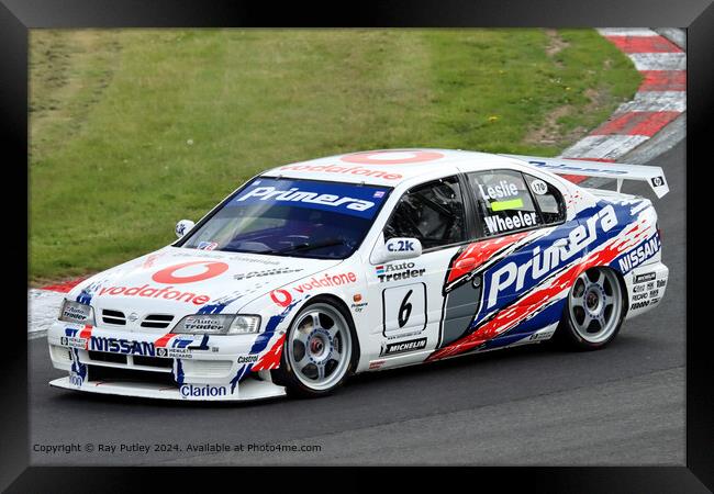 Nissan Primera Racing Framed Print by Ray Putley