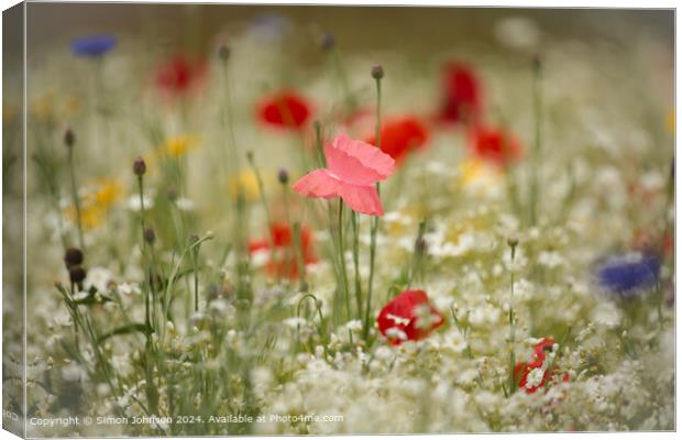 Poppy Meadow Flowers Cotswolds Canvas Print by Simon Johnson